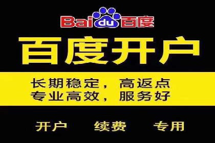 行业领先企业的关键词竞价排名实战案例